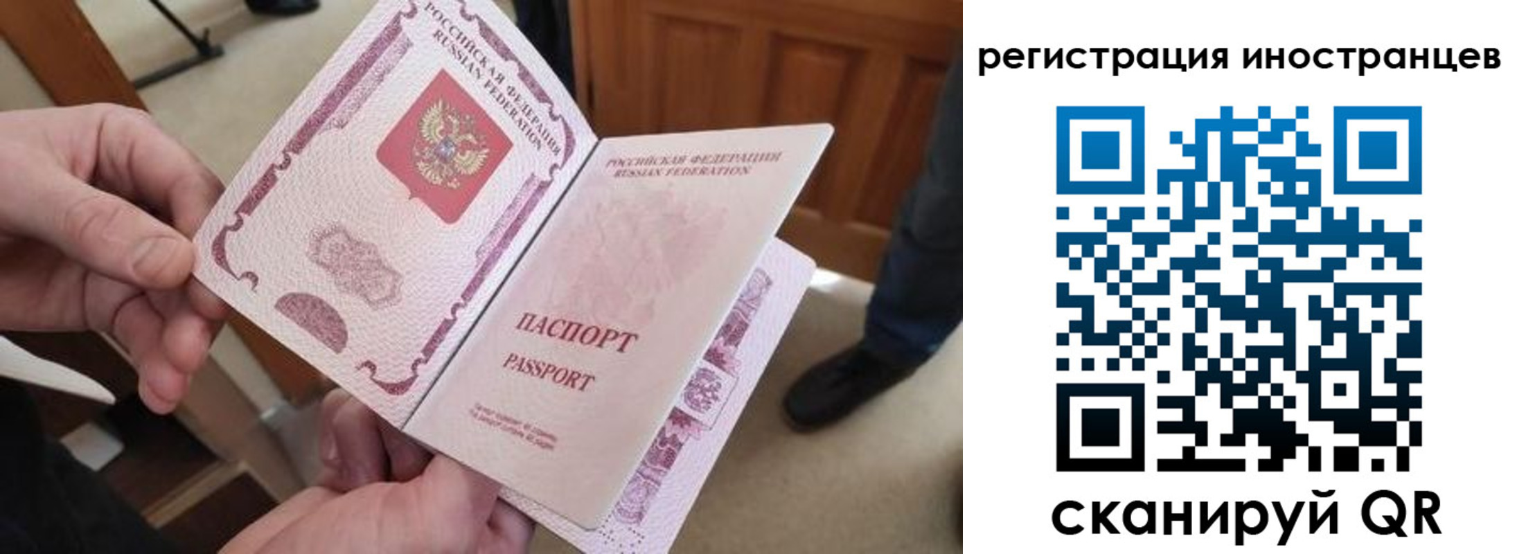 прописка ребенка в Мурманске